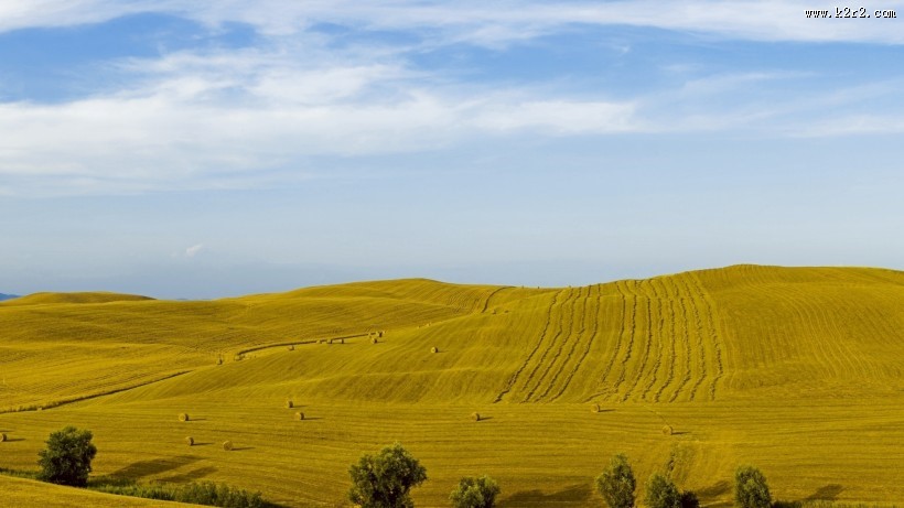 绿色的田野图片