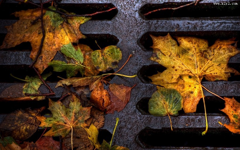 唯美秋天景色图片