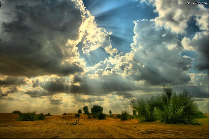 荒芜的沙漠图片