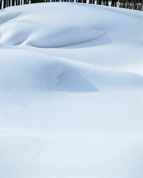 皑皑的雪地图片