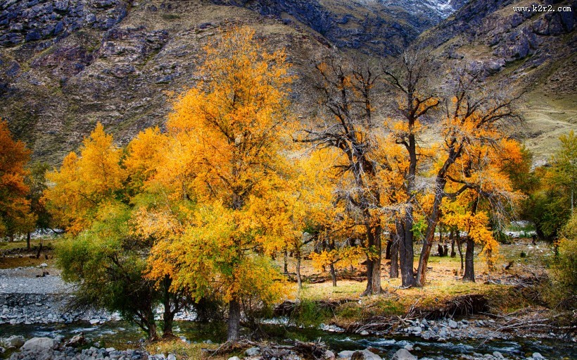 山里的秋色风景图片