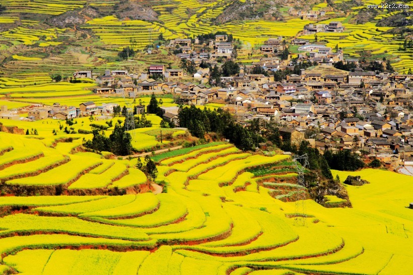 山村的田野风景图片