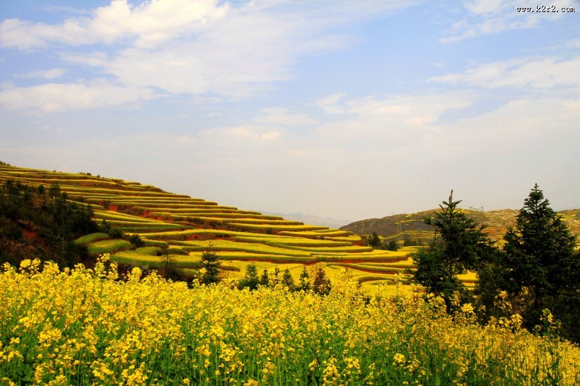 山村的田野风景图片