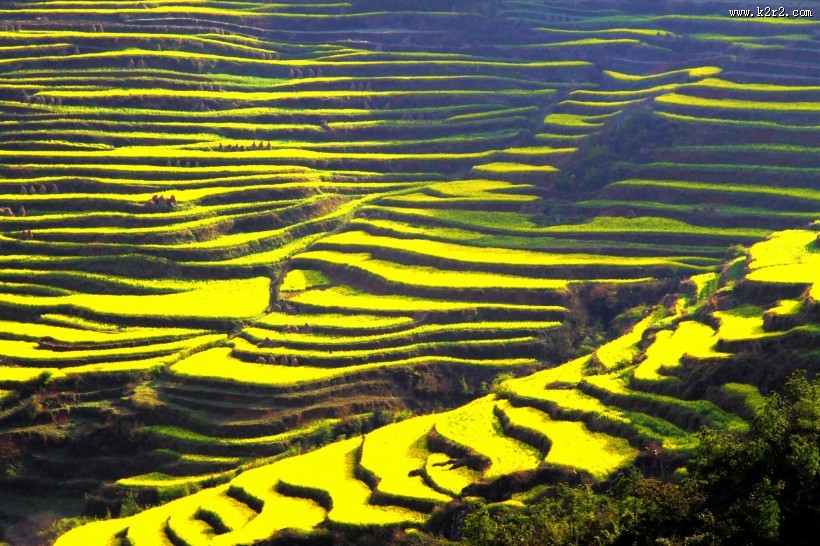 山村的田野风景图片