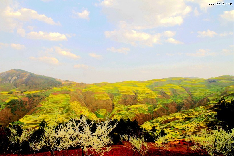 山村的田野风景图片