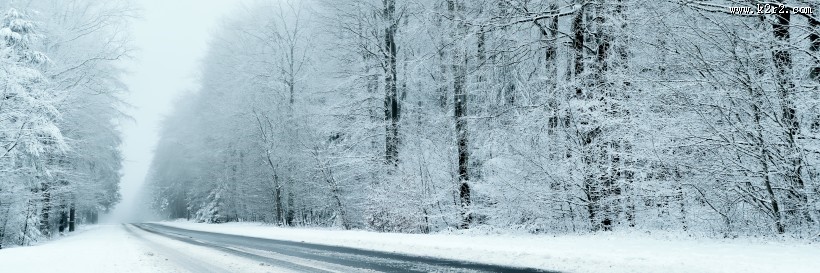 雪天道路两旁风景图片大全