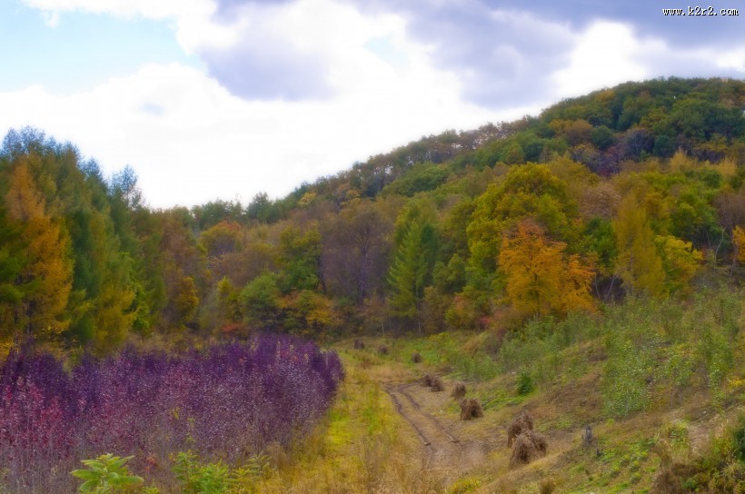 秋日的风景图片