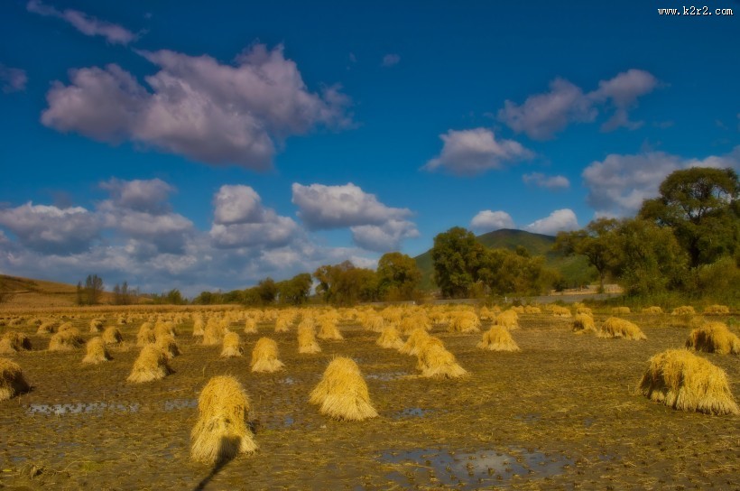 秋日的风景图片