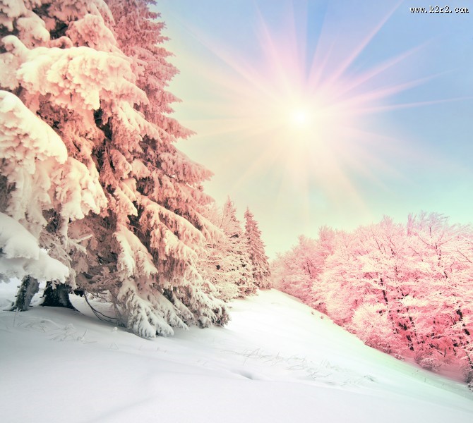 北方山林雪景图片