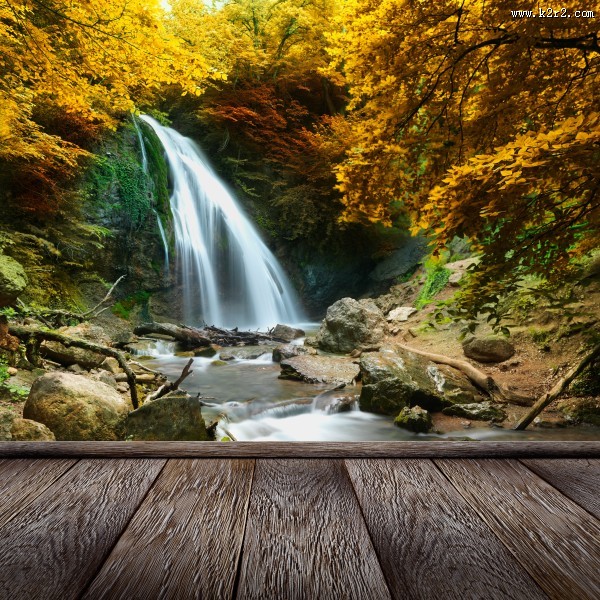 林中木桥边溪流景色图片