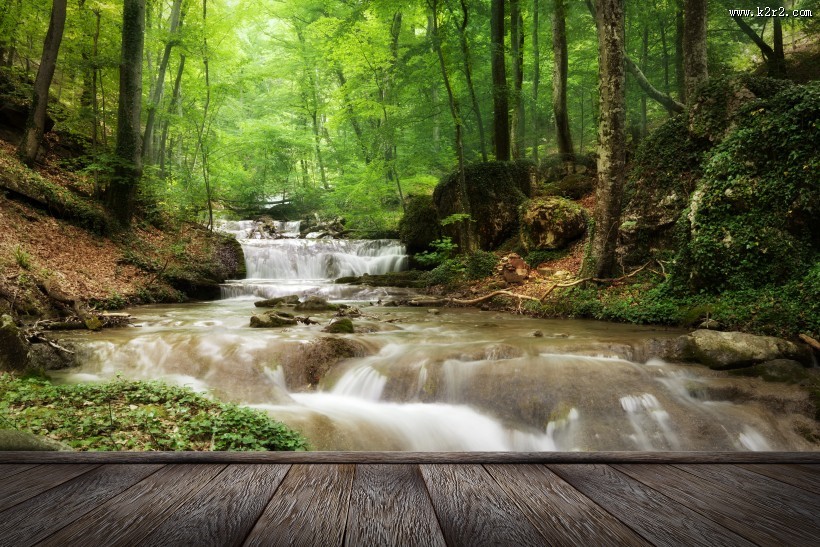 林中木桥边溪流景色图片