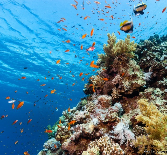 海底风景图片大全