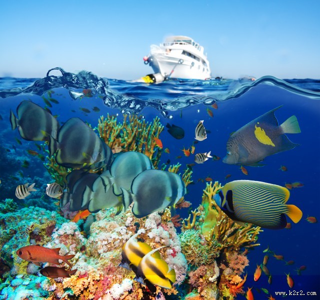 海底风景图片大全