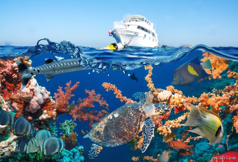 海底风景图片大全