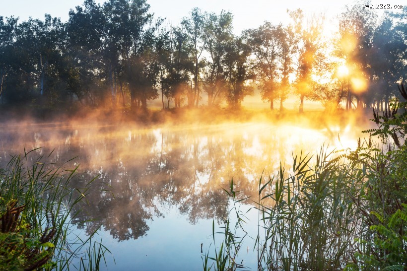 早晨湖泊景色图片