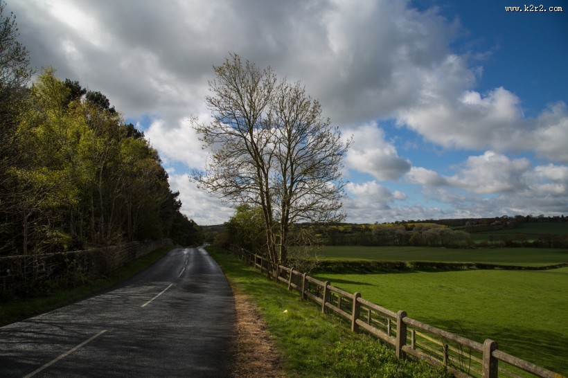 夏日草地风景图片
