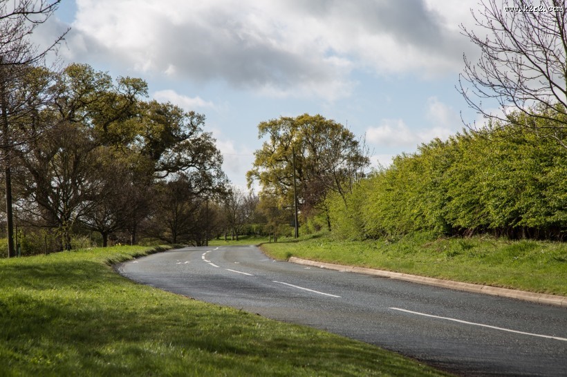 夏日草地风景图片