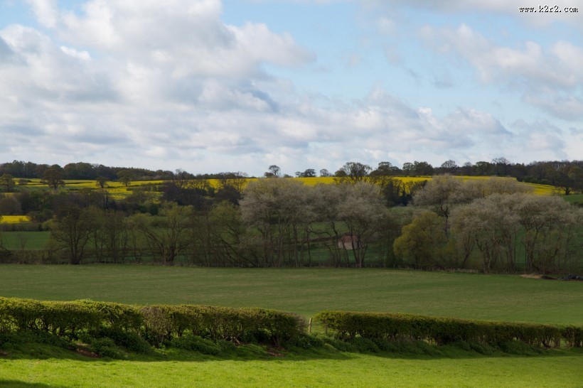 夏日草地风景图片