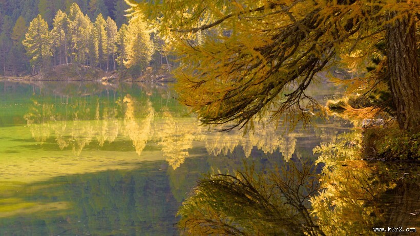 秋季唯美风景图片大全 秋天枫叶图片