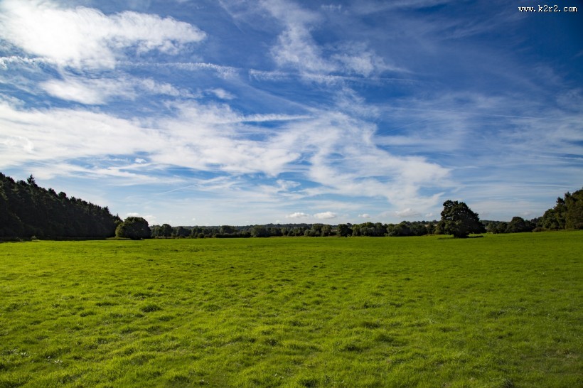 草甸图片