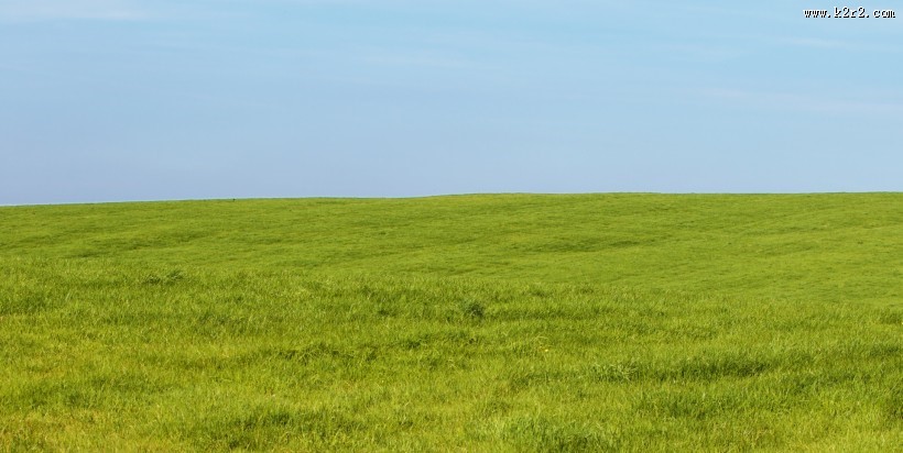 夏日草地风景图片