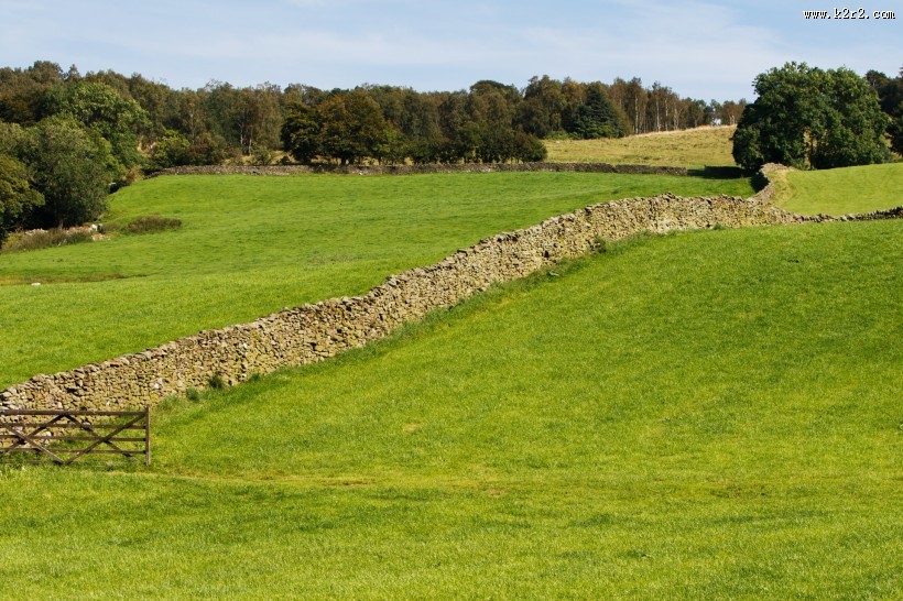 夏日草地风景图片