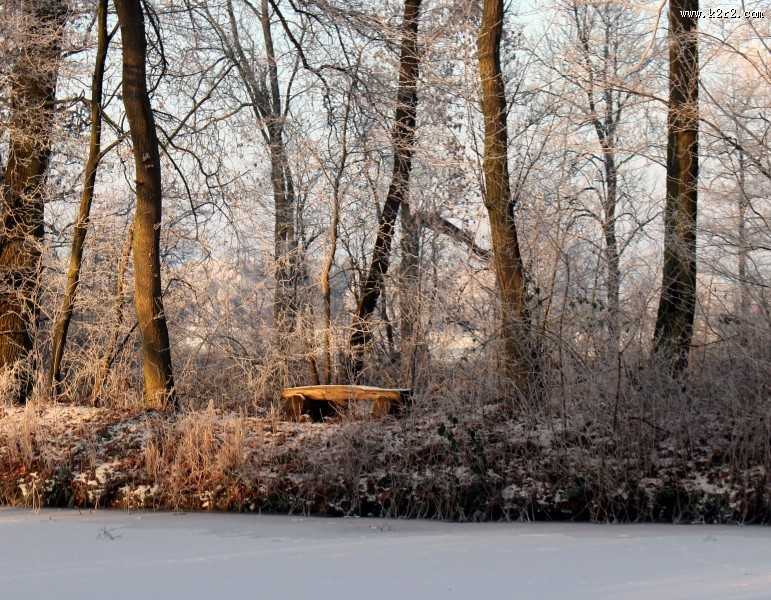 雪中的枝桠图片大全