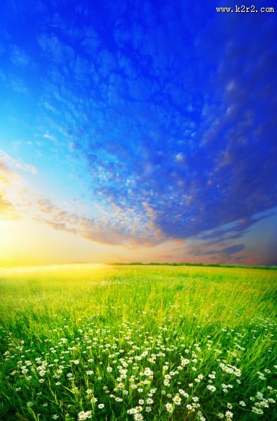 春天草地景色图片