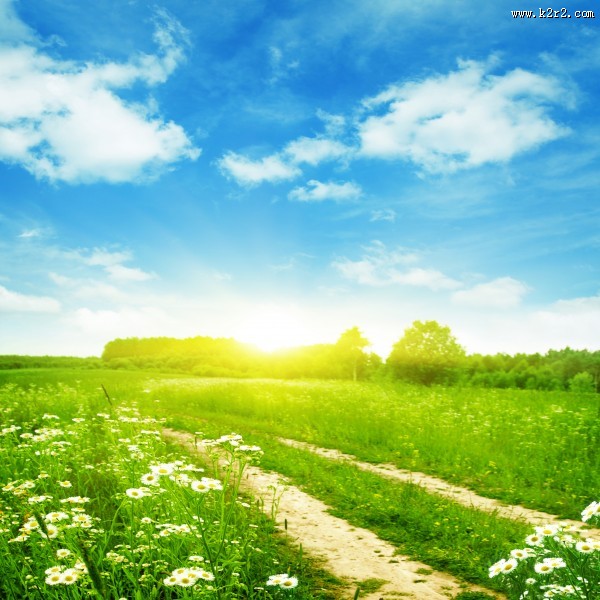 春天草地景色图片