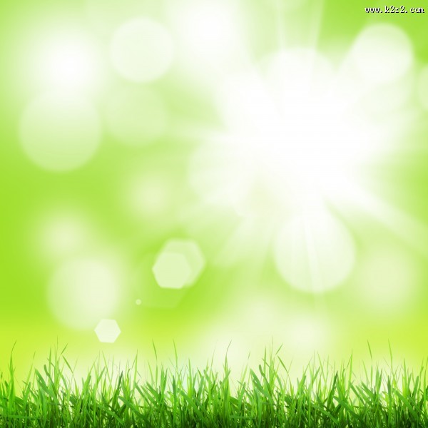 春天草地景色图片