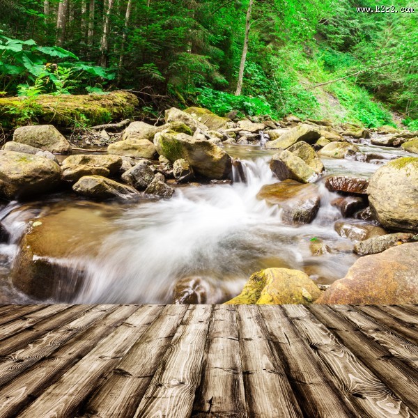 木板树林景色图片