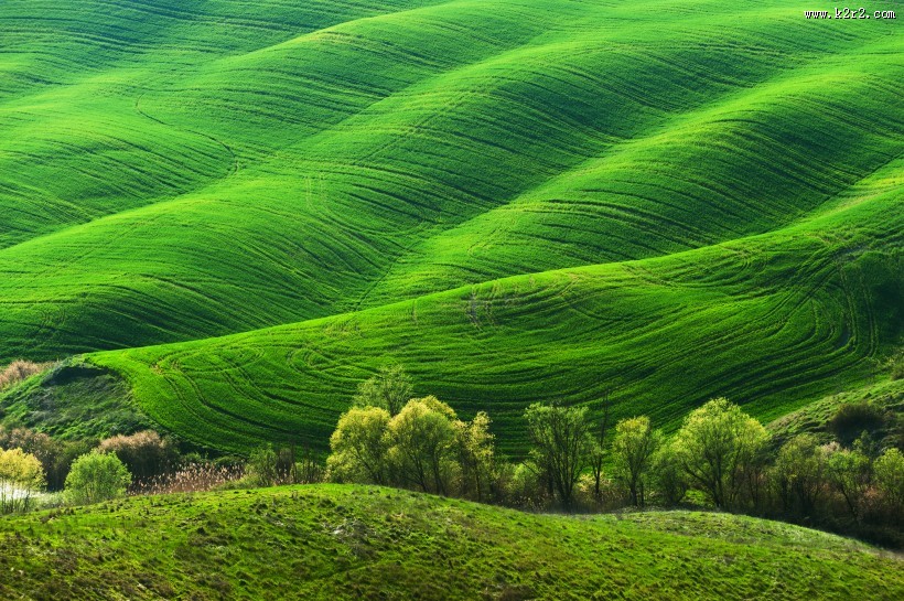 山坡草原图片大全