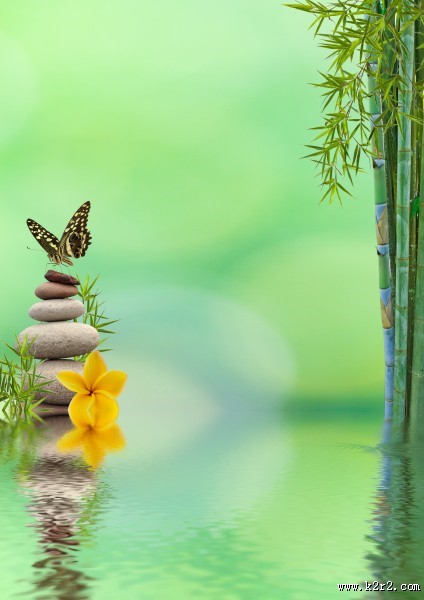 鹅卵石竹子景色图片大全