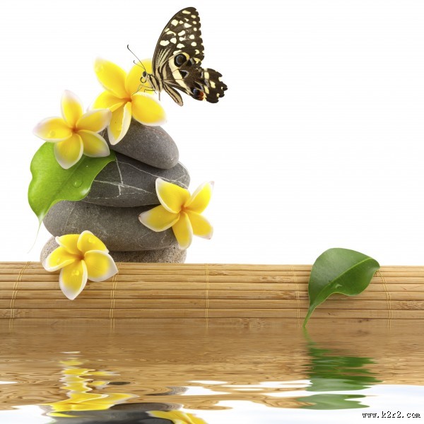 鹅卵石竹子景色图片