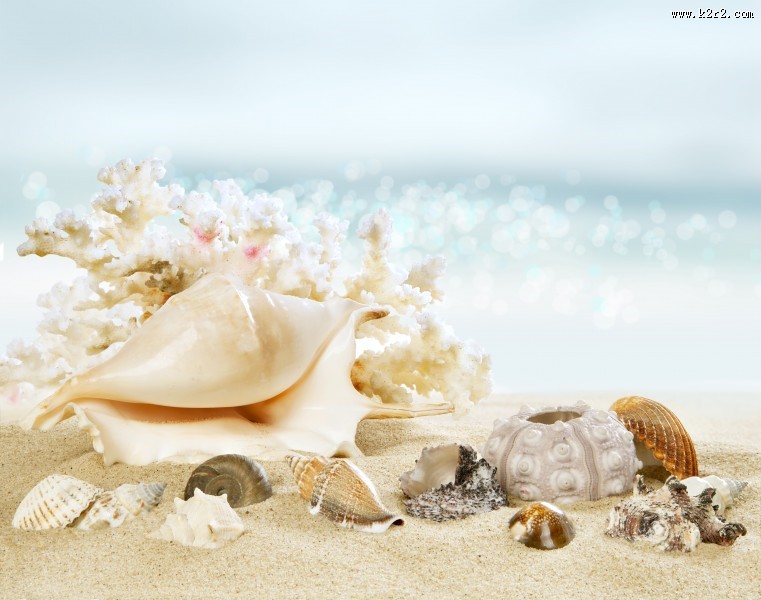 海滩景色创意图片