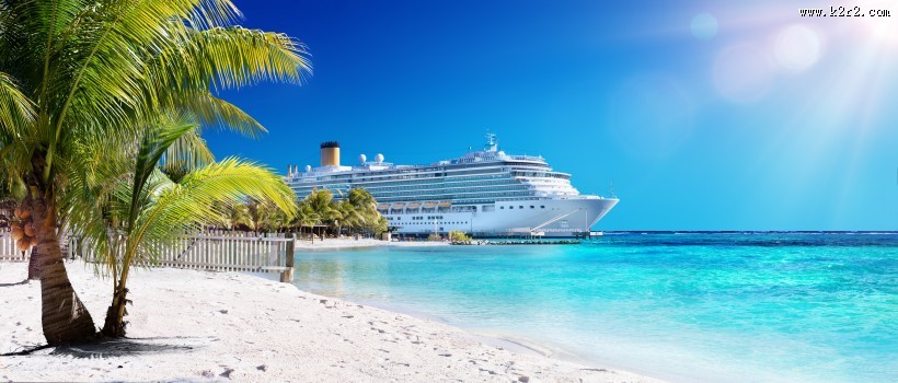 海滩椰子树图片