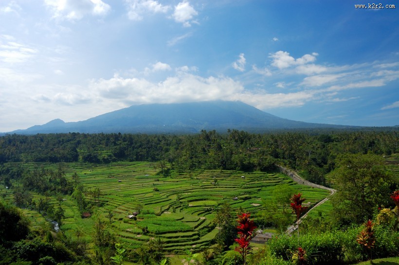 美丽的梯田图片