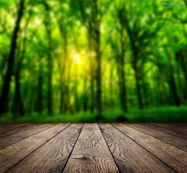 树林木板小道景色图片