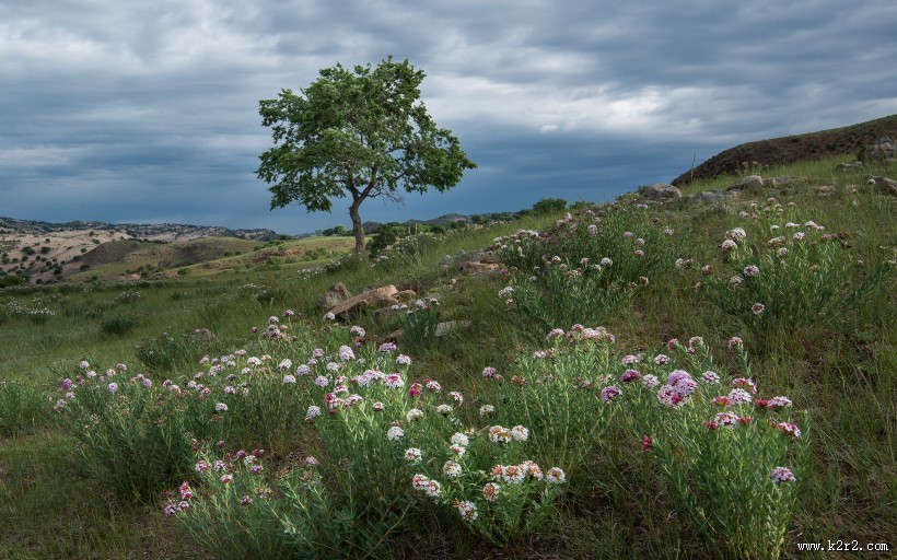 乌兰毛都草原风光图片