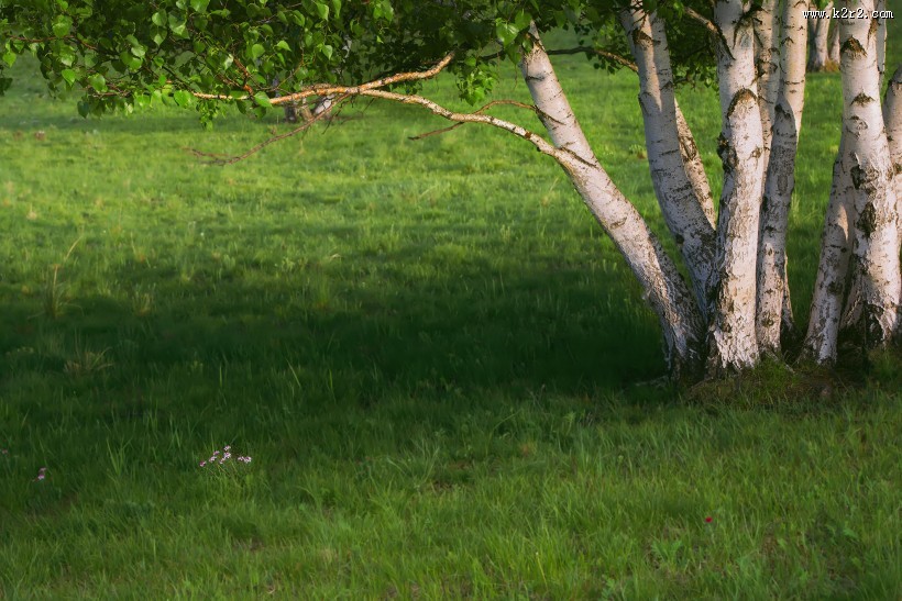 乌兰毛都草原风光图片