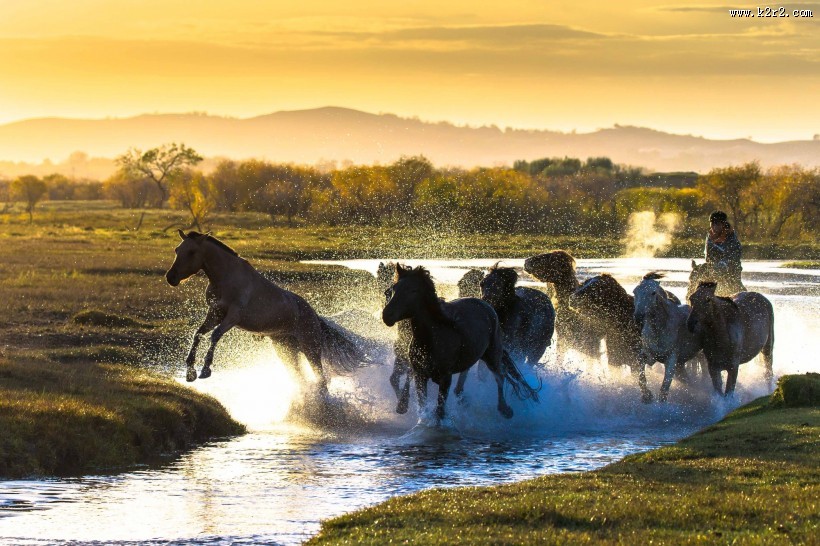 金秋坝上草原风光图片