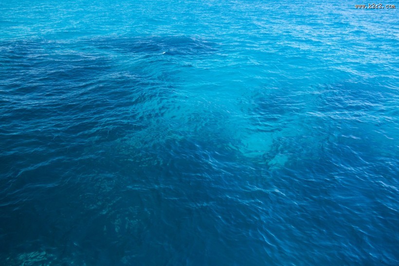 清澈的海水图片