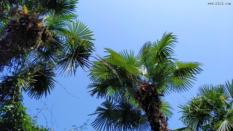 白云蓝天风景图片