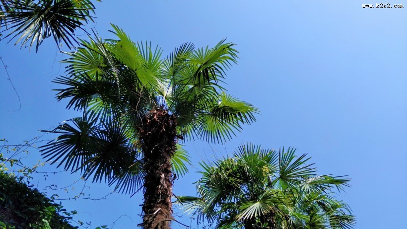 白云蓝天风景图片