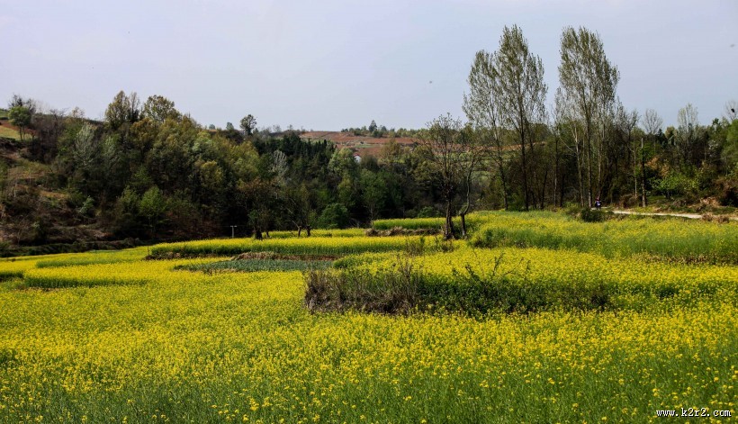 美丽的乡村风景图片
