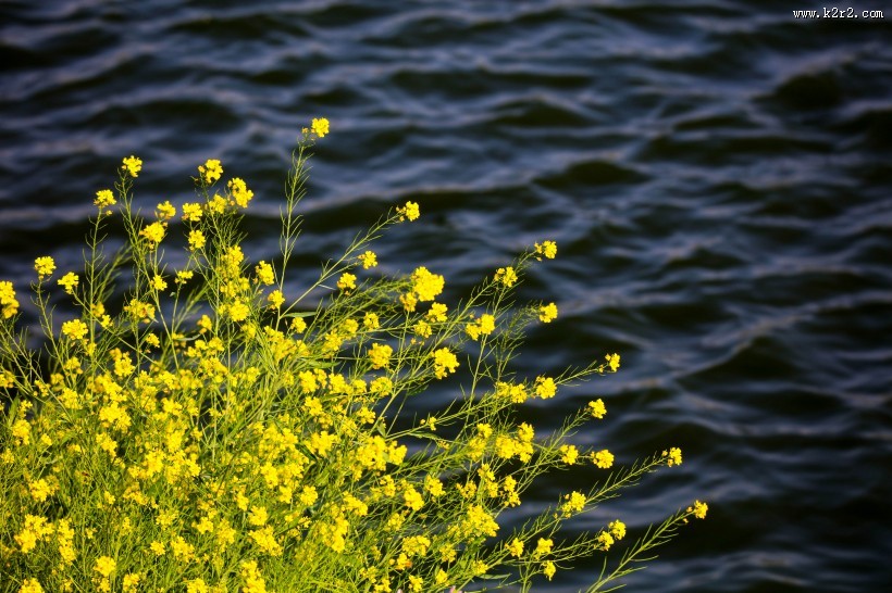美丽的乡村风景图片