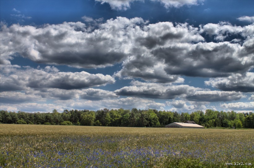 早晨的田野风景图片大全