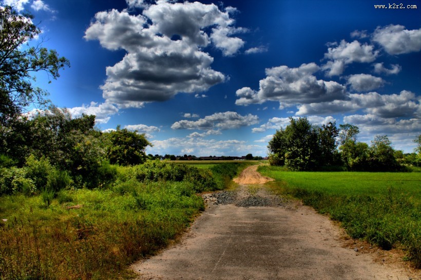 早晨的田野风景图片