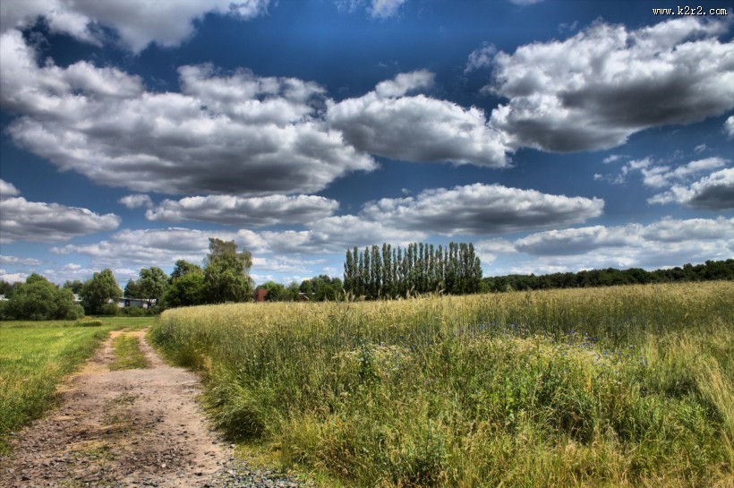 早晨的田野风景图片