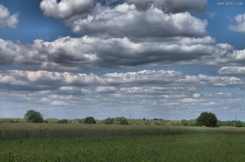 早晨的田野风景图片